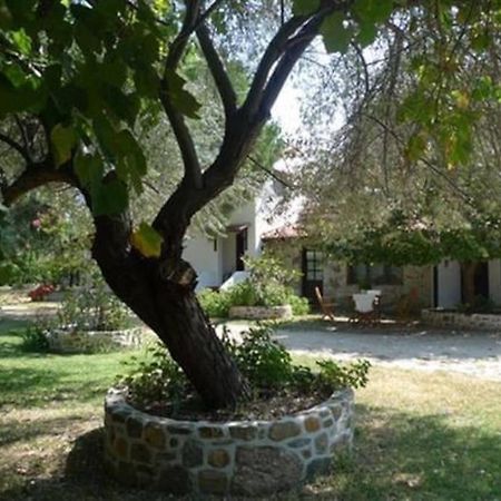 Traditionelles Appartement Athos Shadow Am Meer Paralia Sikias Exterior photo