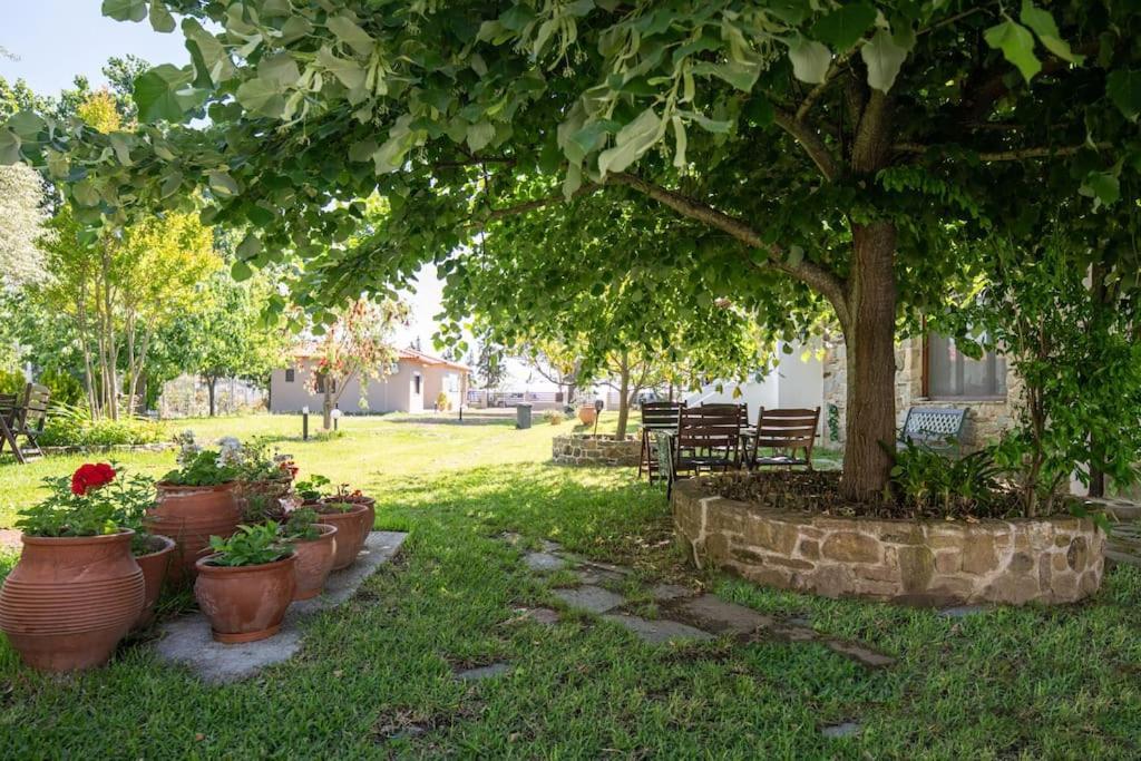 Traditionelles Appartement Athos Shadow Am Meer Paralia Sikias Exterior photo