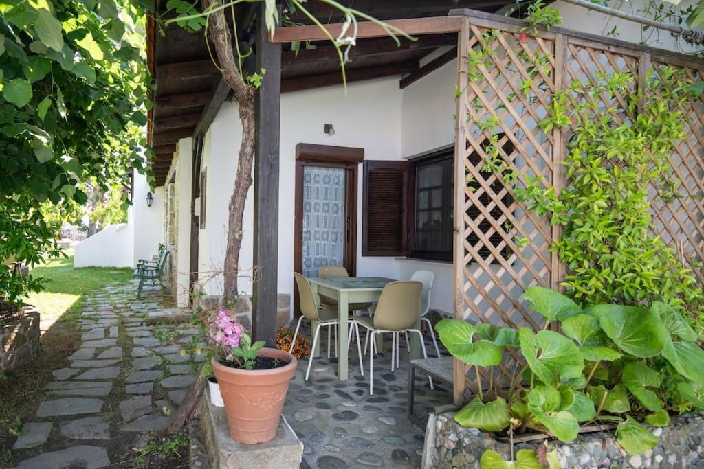 Traditionelles Appartement Athos Shadow Am Meer Paralia Sikias Exterior photo
