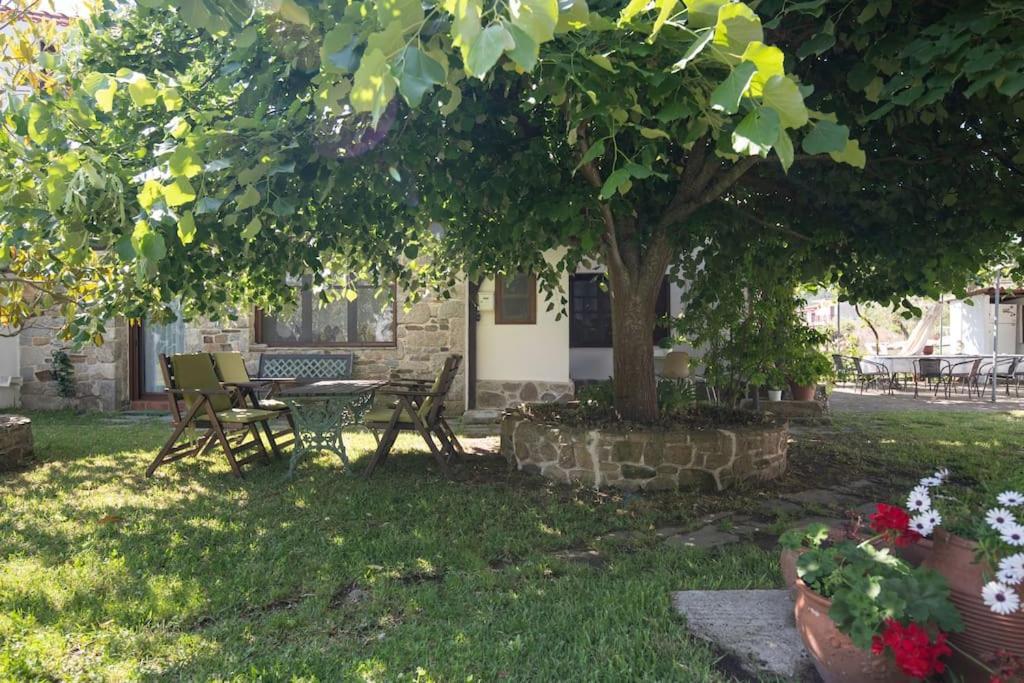 Traditionelles Appartement Athos Shadow Am Meer Paralia Sikias Exterior photo