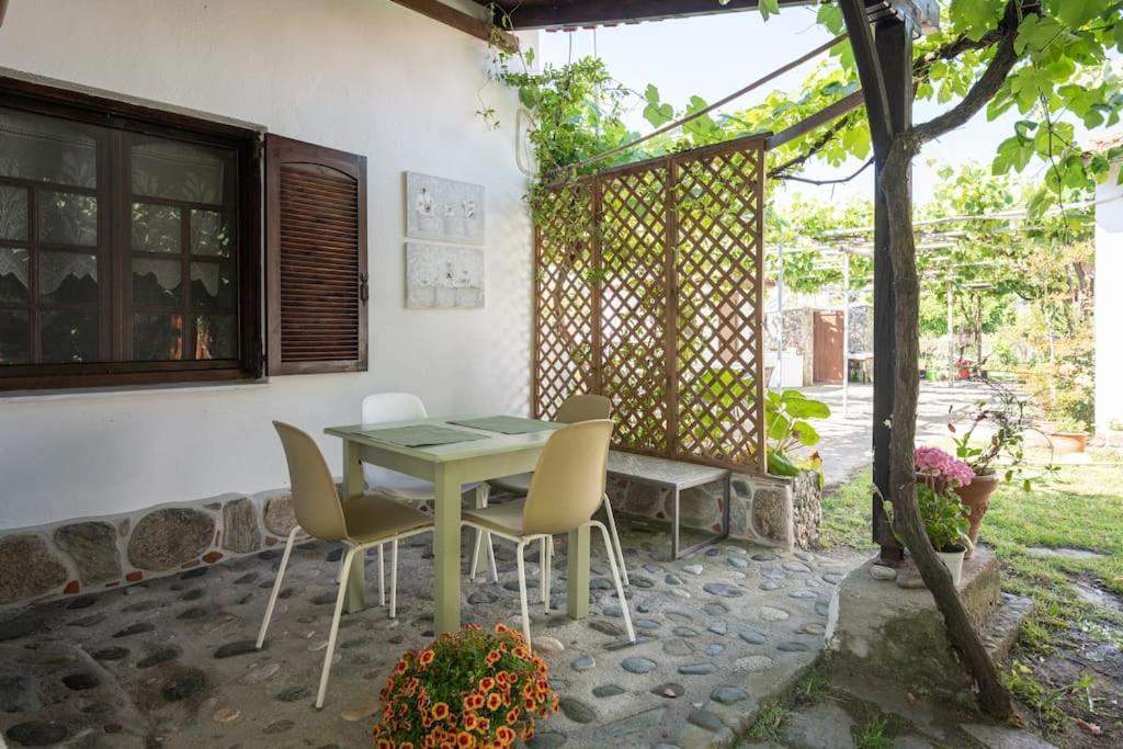 Traditionelles Appartement Athos Shadow Am Meer Paralia Sikias Exterior photo